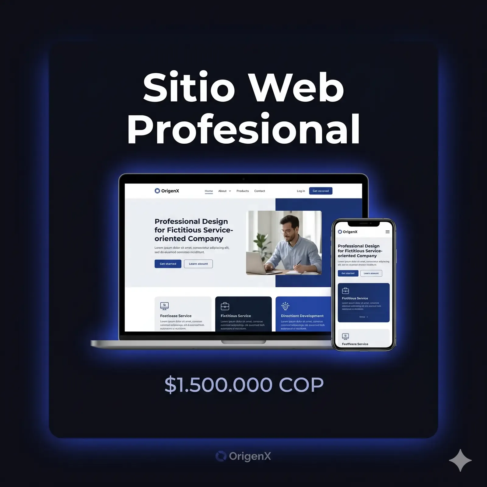 Professional Website